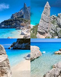 Sardegna settembre last m Golfo Orosei Girasole OG
