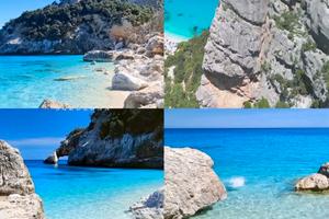 Sardegna settembre last m Golfo Orosei Girasole OG