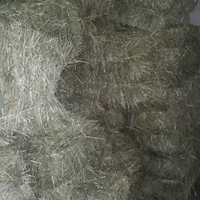 Fieno di Prato stabile