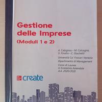 Gestione delle imprese