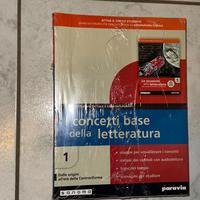 Libro-I concetti base della letteratura