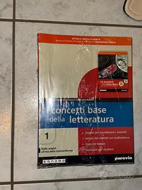 Libro-I concetti base della letteratura