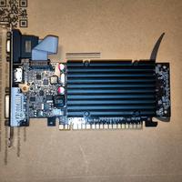 Scheda video Nvidia Geforce 210 1GB