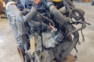 Motore RENAULT KANGOO 1461cc diesel del 2012