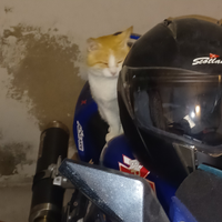 Vendo moto perfetta