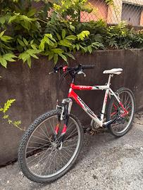 Mountain bike
