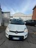 fiat-panda-1-0-firefly-s-s-hybrid-city-life