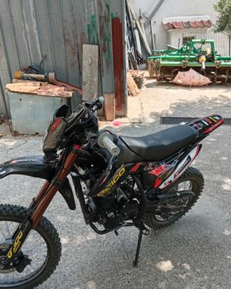 Pit bike cross 150