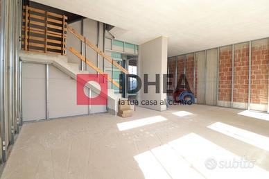 SCHIERA PORZIONE DI TESTA RIF "NSID1"