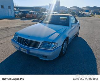 Mercedes-benz SL 300 SL-24 cat