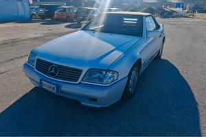 Mercedes-benz SL 300 SL-24 cat