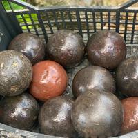 Bocce in legno vintage