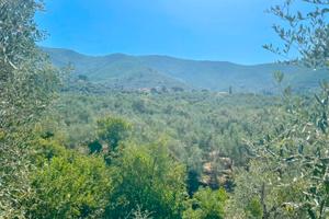 TERRENO CALCI CON RUSCELLO 