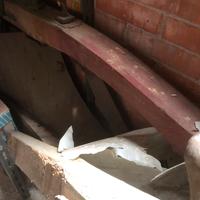 Aratro antico con basto