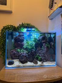 Mini Acquario Zen