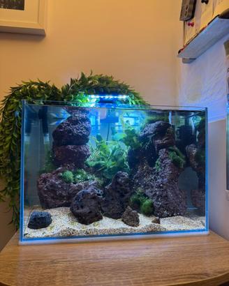 Mini Acquario Zen