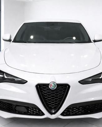ALFA ROMEO Stelvio - Stelvio 2.0 Turbo 280 CV AT8