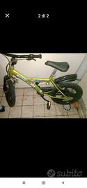 bicicletta 14