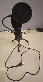 2 microfoni USB con filtro pop