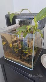 acquario cubo 30 litri