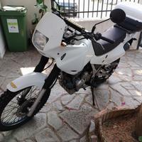 Honda Dominator 650-2000