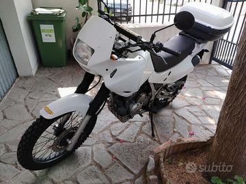 Honda Dominator 650-2000