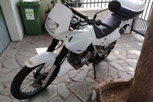 Honda Dominator 650-2000