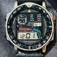 Citizen Promaster Windsurfing D060