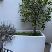 Vasi in cartoncemento 150x70x68