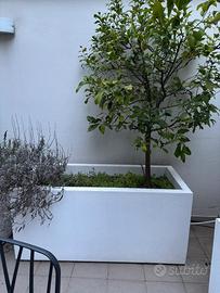 Vasi in cartoncemento 150x70x68