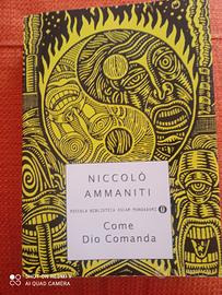 Come Dio comanda