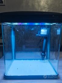 acquario nobleza 7 litri