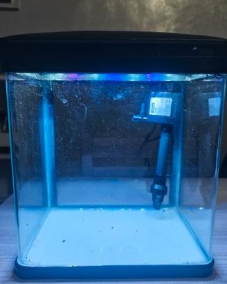 acquario nobleza 7 litri