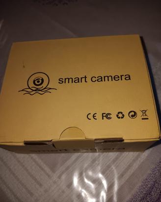 microcamera di sorveglianza