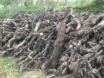 Legna OLIVO da ardere (camino, forno, BBQ)