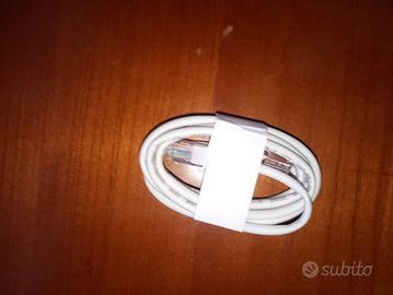 Cavo Ethernet (LAN /