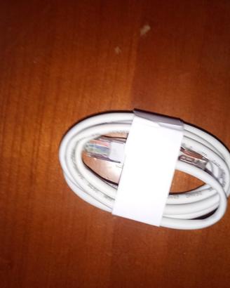 Cavo Ethernet (LAN /