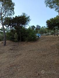 Terreno in Località Monti Nou