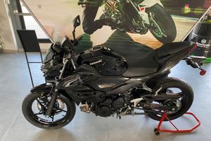 Kawasaki Z 500 2026