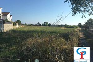 Terreno di 7100 m² a Sessa Aurunca