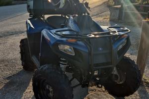 Quad Polaris Trail Boss 330 