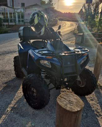 Quad Polaris Trail Boss 330 