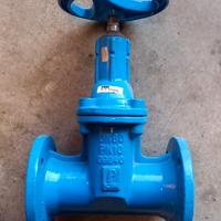 valvola flangiata  DN 80