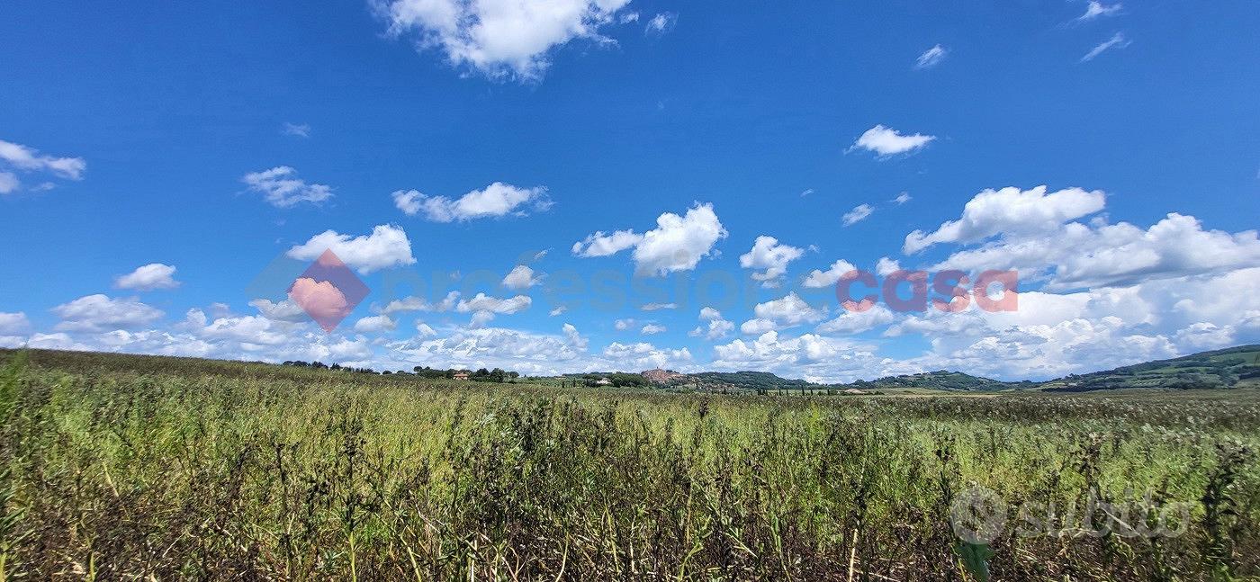 Terreno Agricolo Bibbona [TA-06VCG] - Altro