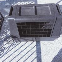 trasportino cani taglia media +