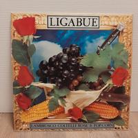 Lp Ligabue Lambrusco...