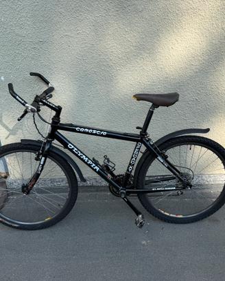 Bicicletta MTB