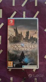 Hogwarts Legacy Nintendo switch 