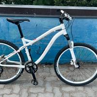 Mountain bike specialized