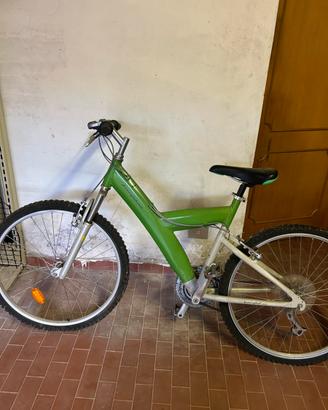 Bicicletta
